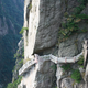 Illustration for article titled These Breathtaking Cliffside Walkways Will Give You Vertigo